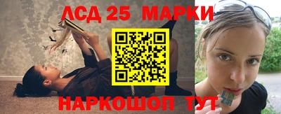 индика Тулун