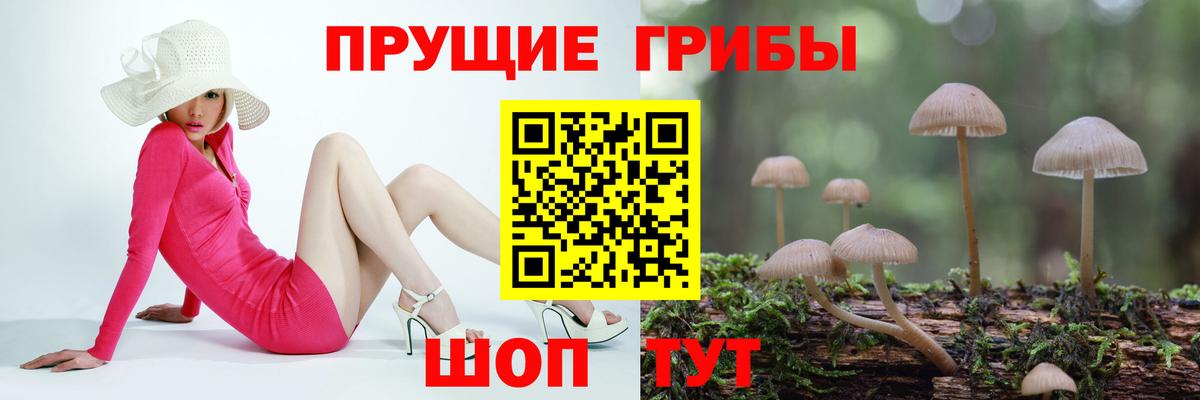 Галлюциногенные грибы прущие грибы  Галлюциногенные грибы Psilocybine cubensis  Миллерово  даркнет сайт  Вход с VPN 